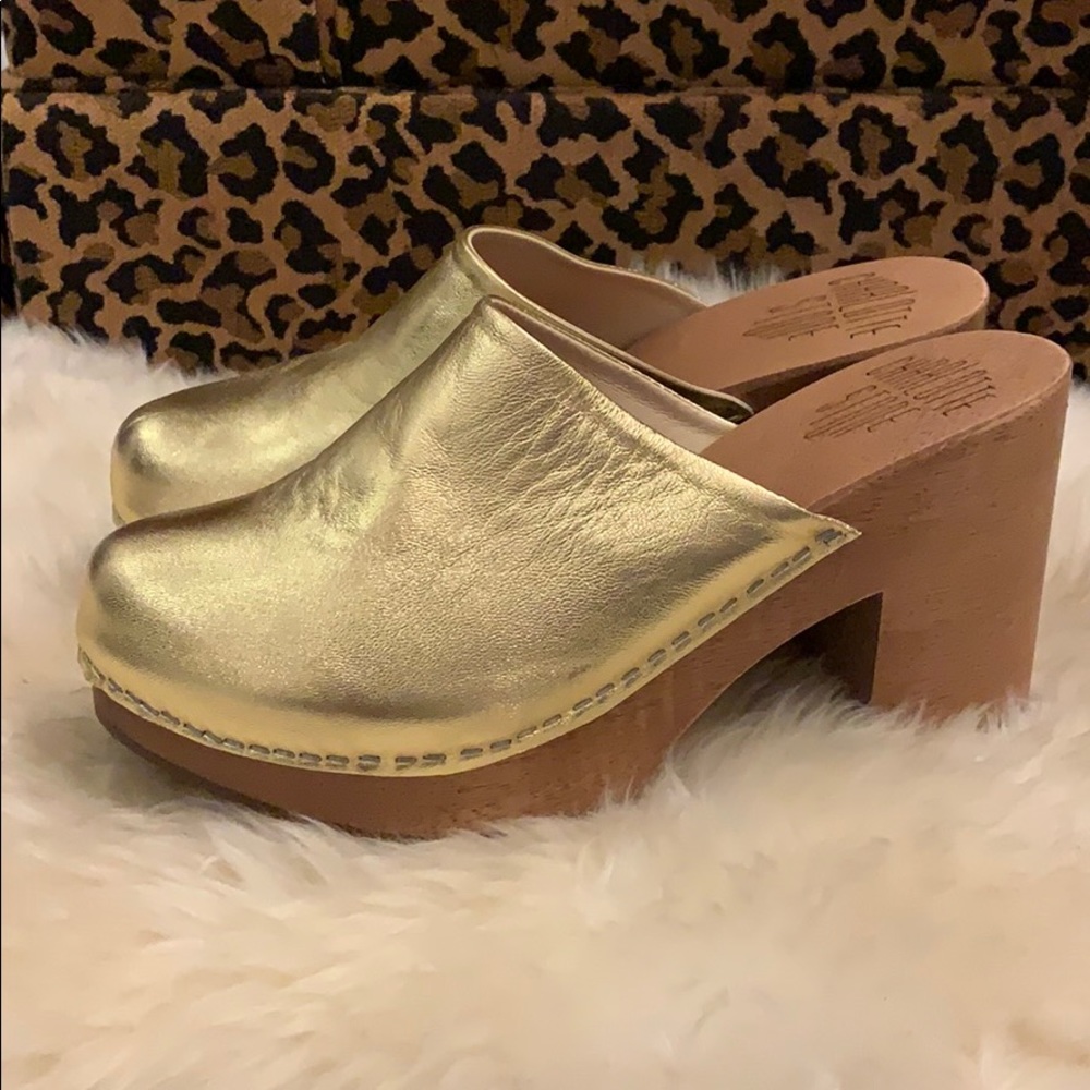 Charlotte Stone Clogs